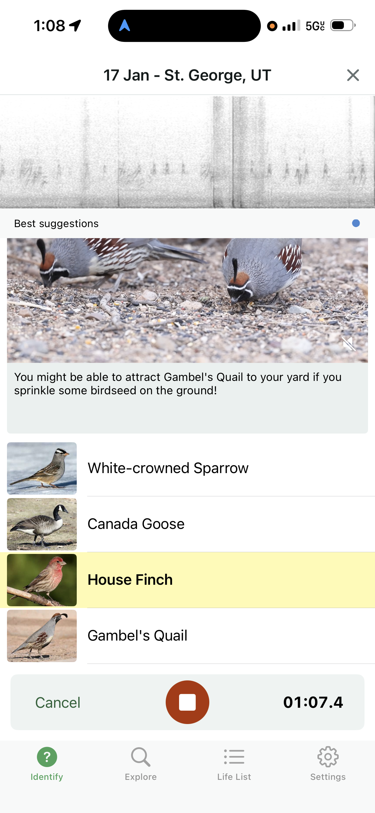 screenshot of merlin