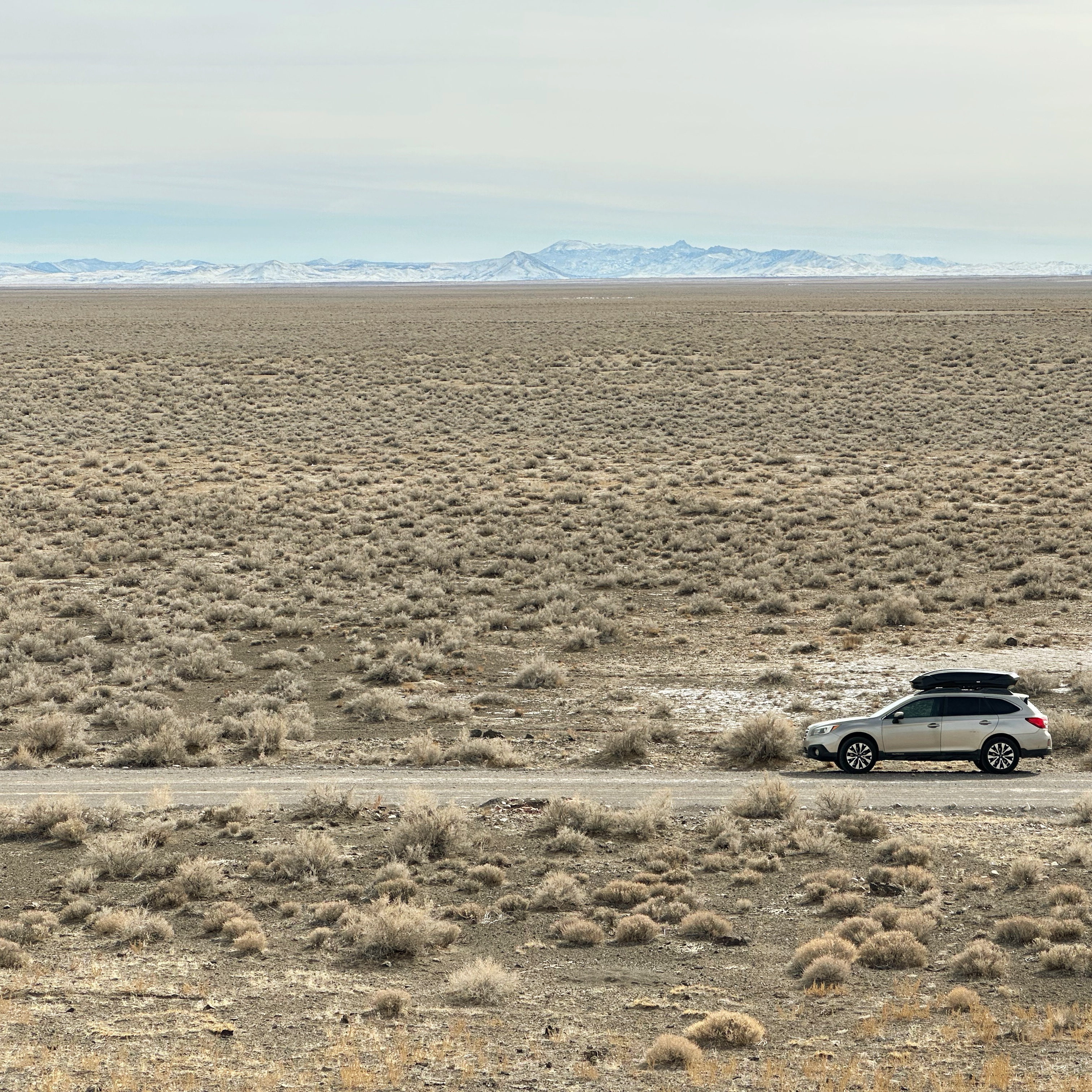 Becky the Subaru outback 