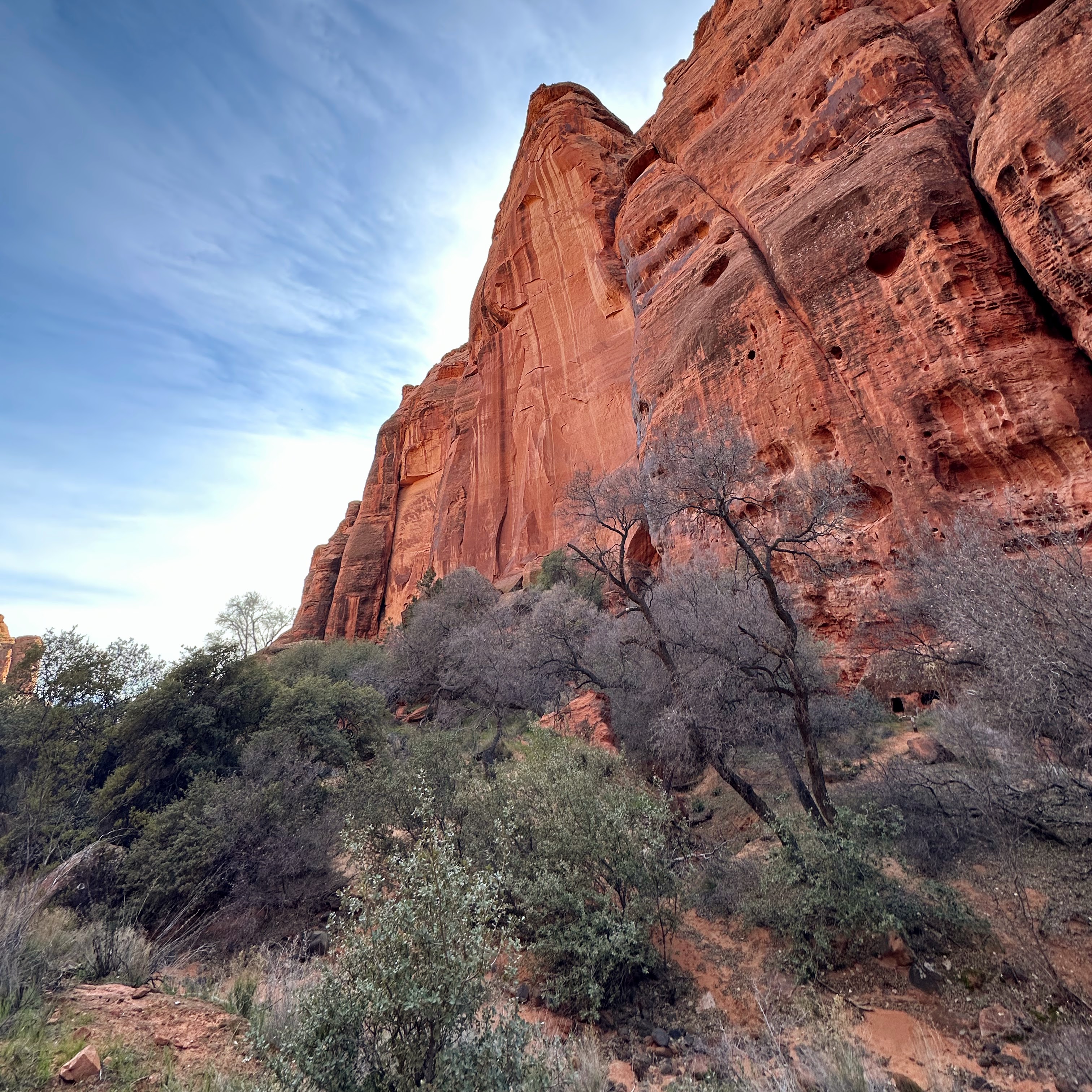 western wall of Johnson canyon