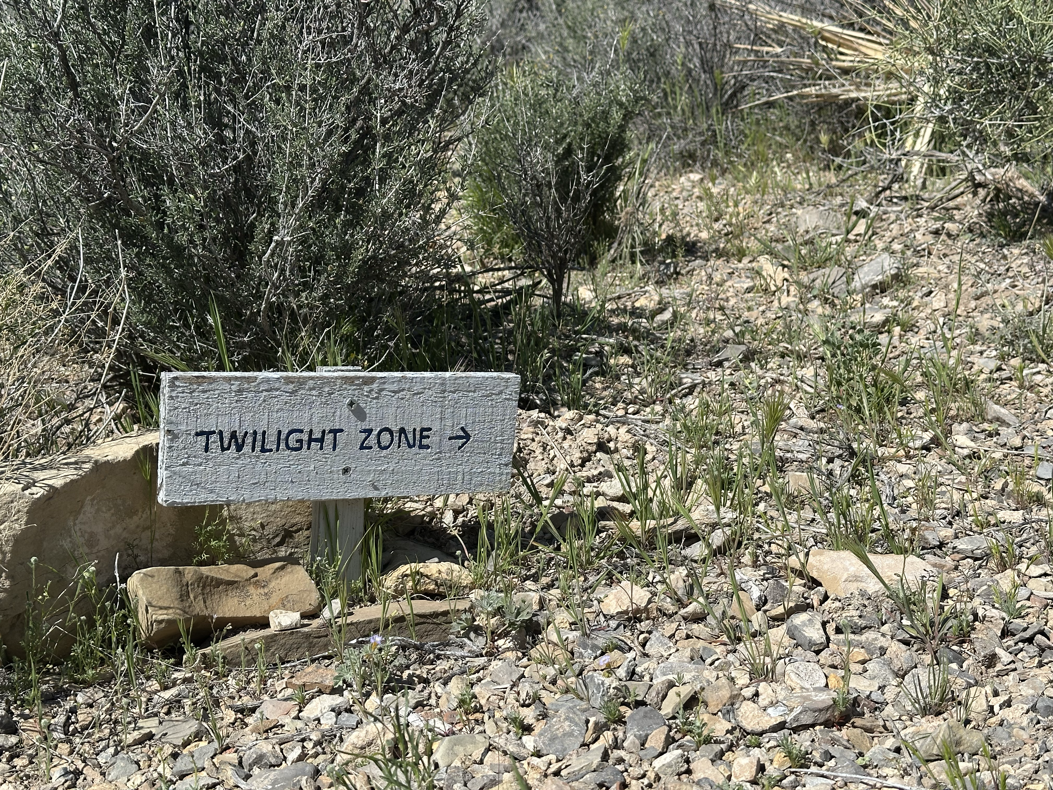 A hand-painted wooden trail sign reading "Twilight Zone →" mounted on metal posts in a rocky desert wash